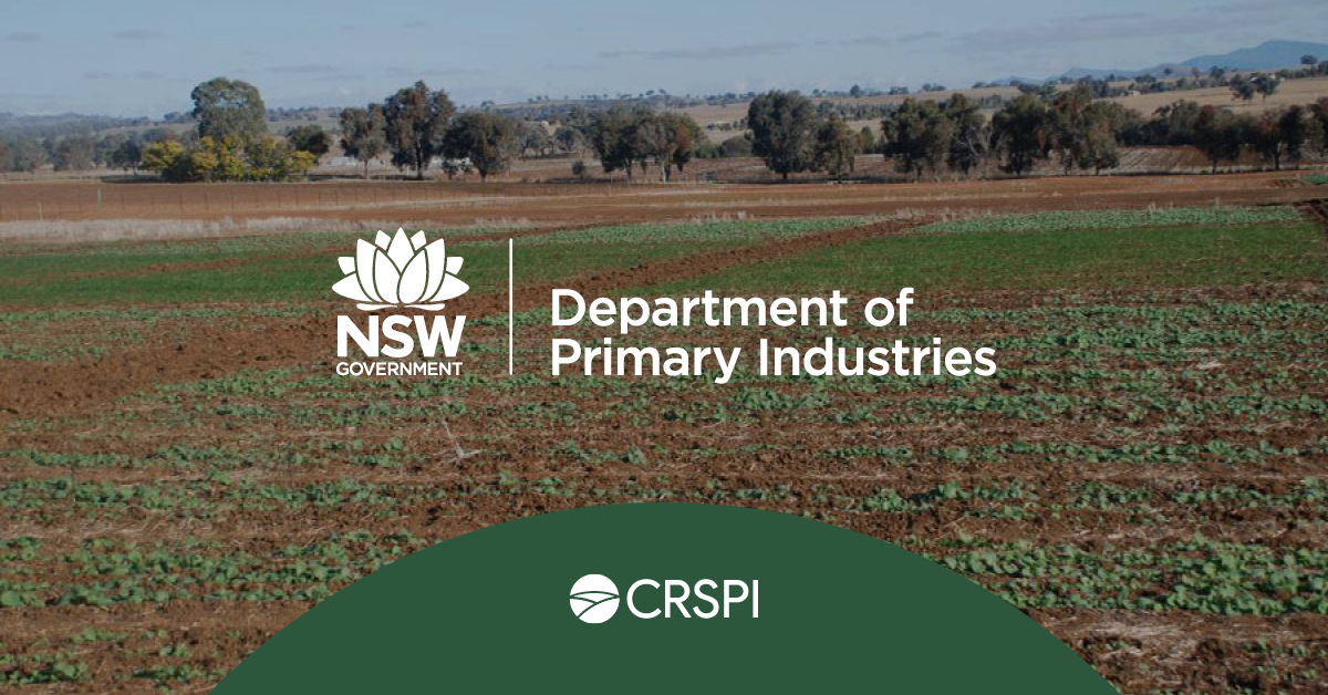 NSW DPI | CRSPI