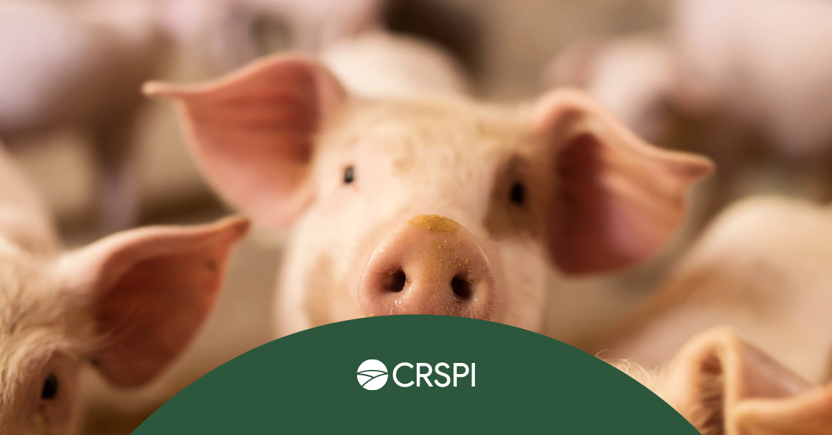 National Agricultural Manure Management Program | CRSPI